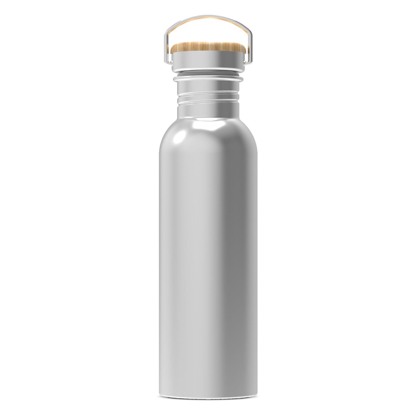 Waterfles Ashton 750ml