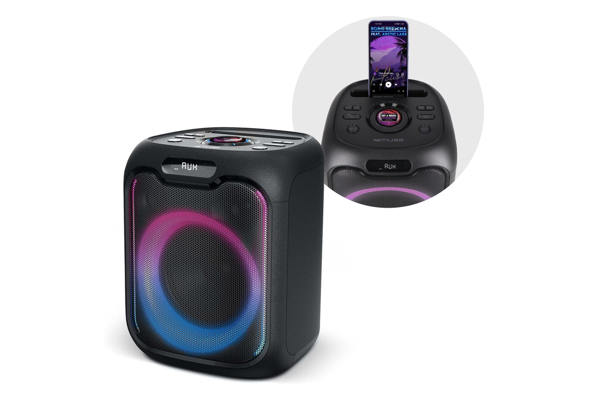 M-1803 | Muse Party Speaker met Microfoon 150W