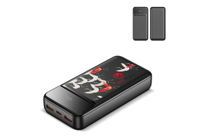 Nolu Powerbank met LED Display 20000 mAh